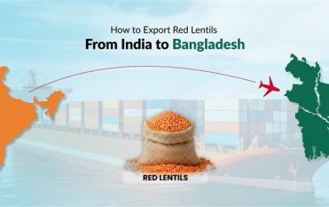 export red lentils from india to bangladesh