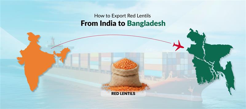 export red lentils from india to bangladesh