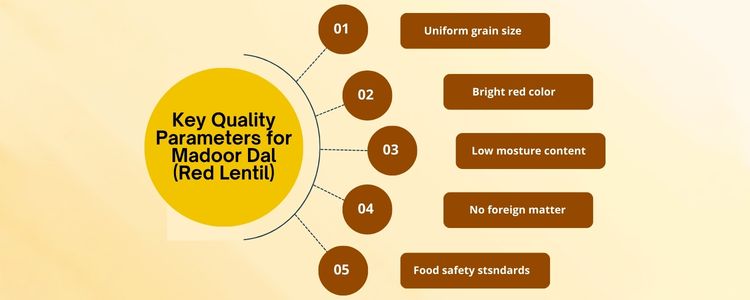 red lentils supplier inductus global
