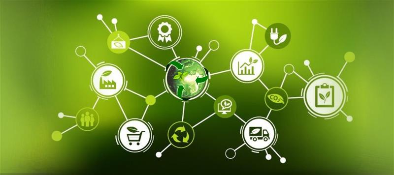 Sustainable Procurement Services: A Complete Supplier Guide