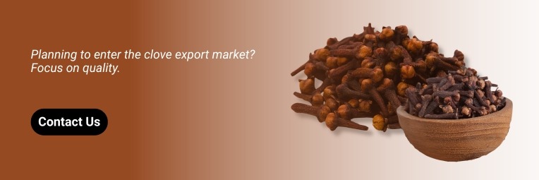 contact clove supplier in india