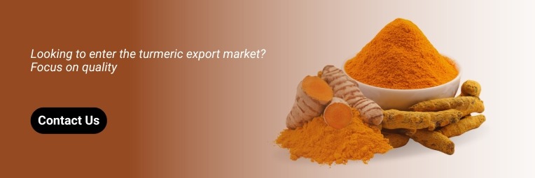 contact turmeric supplier from india