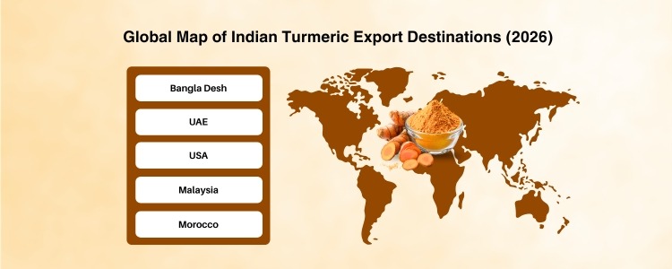 organic turmeric supplier from india - inductus global
