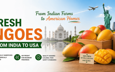 Fresh Mangoes export from india to USA