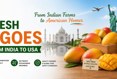 Fresh Mangoes export from india to USA