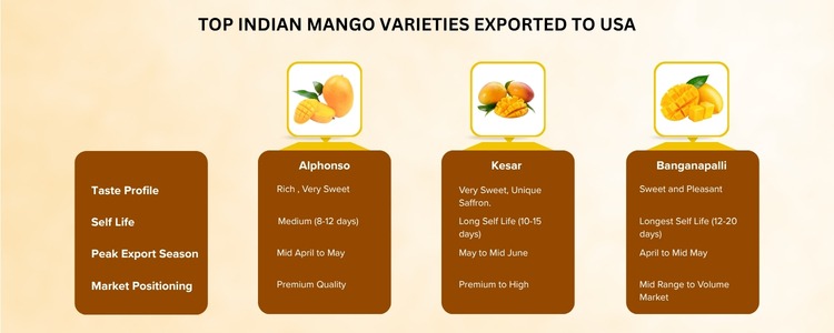 export indian mangoes from india to usa