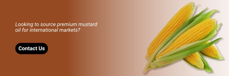 contact corn suppliers from india