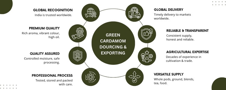 Cardamom Exporters from india