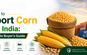 How to Import Corn from India