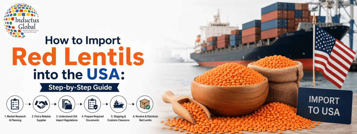 red lentils exporters from india inductusglobal.com