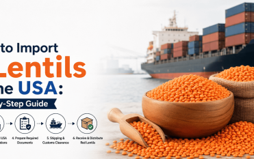 red lentils exporters from india inductusglobal.com