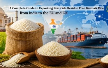 EU & UK Guide to Exporting Residue-Free Basmati Rice