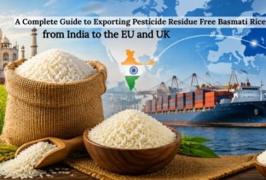 EU & UK Guide to Exporting Residue-Free Basmati Rice