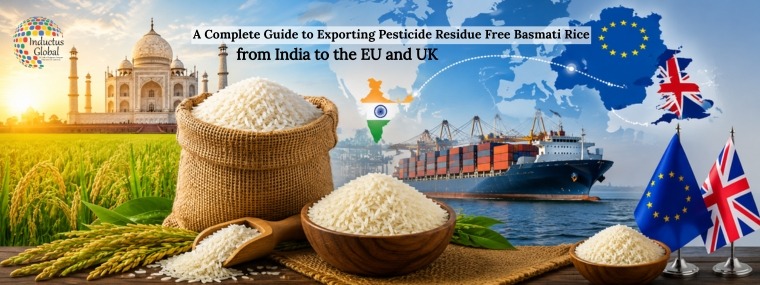 EU & UK Guide to Exporting Residue-Free Basmati Rice