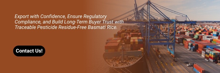 contact basmati rice suppliers exporters In India