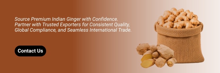 Contact Us - Ginger Suppliers From India