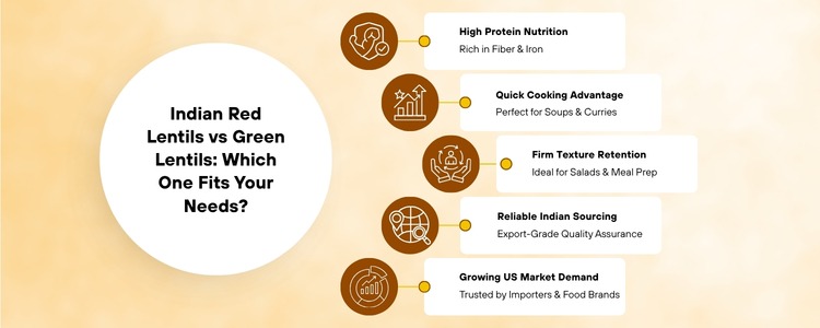 red lentils exporters in usa