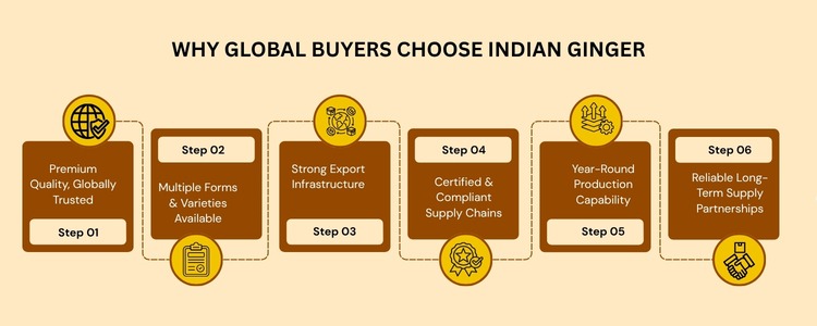 Ginger Exporters from India