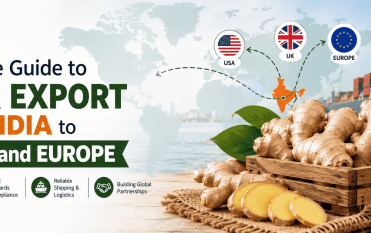 ginger exports from india