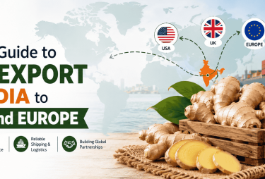 ginger exports from india