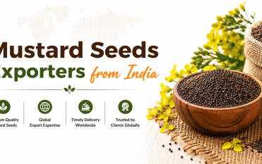 mustard seeds exporters from india