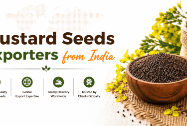 mustard seeds exporters from india