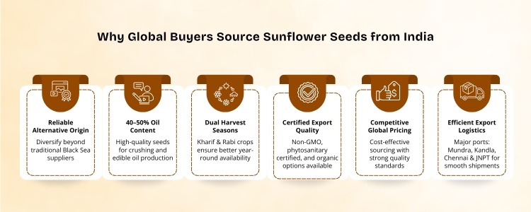 sunflowers seeds exporters in india