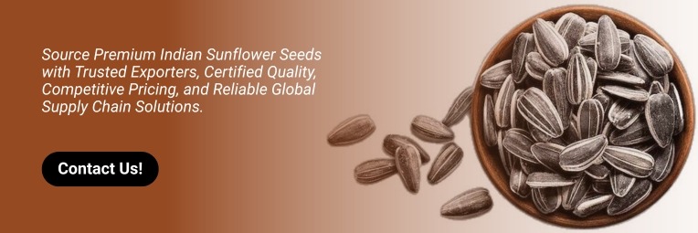 Sunflowers Seeds Suppliers from India