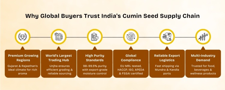 Cumin Seeds Exporters In India