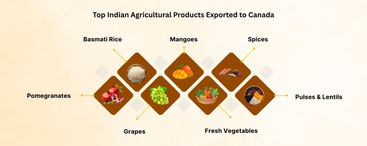 Indian Agricultural Products In India