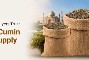 Why Importers Choose India's Cumin Seed Supply Chain