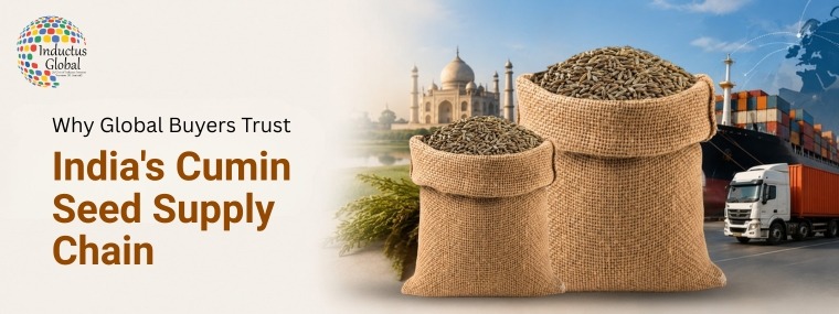 Why Importers Choose India's Cumin Seed Supply Chain