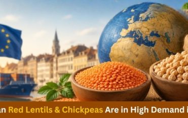 Indian Red Lentils & Chickpeas: Europe's Top Choice