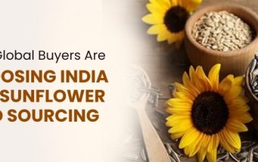 Why Source Sunflower Seeds from India? Buyer's Guide