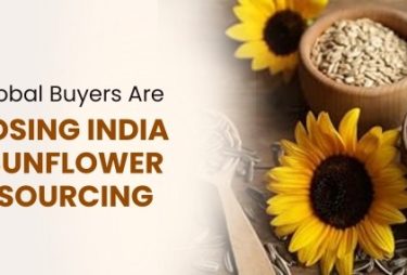 Why Source Sunflower Seeds from India? Buyer's Guide