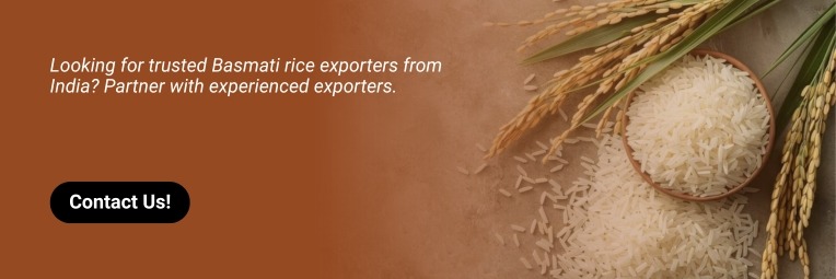 Contact Basmati Rice expoters In India