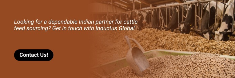 Contact Cattle feed Suppliers In India