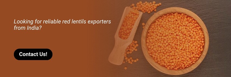 Contact Red Lentils Suppliers In India