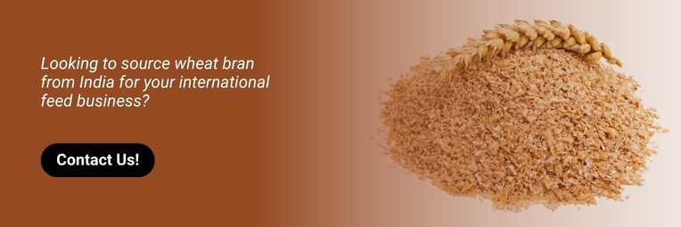 Contact Wheat Bran Suppliers In India