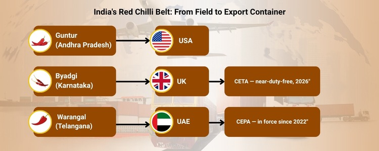 Best Red Chilli exporters In India