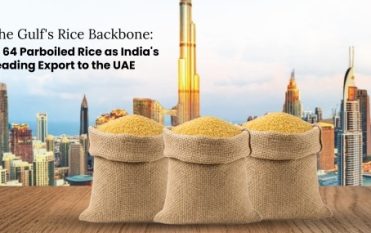 IR 64 Parboiled Rice Export from India to UAE