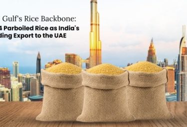 IR 64 Parboiled Rice Export from India to UAE