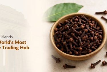 indian cloves exporters