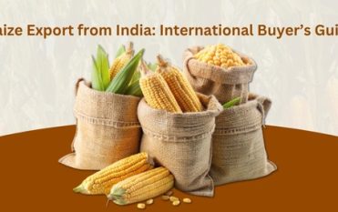 Maize Exporters In India