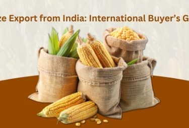 Maize Exporters In India