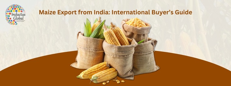 Maize Exporters In India