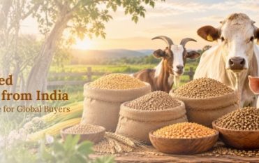 cattle feed exporters in india