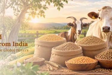 cattle feed exporters in india