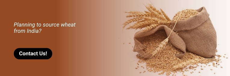 Contact Wheat exporter from india