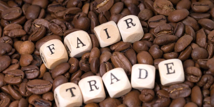 shutterstock_267710042-1024x683